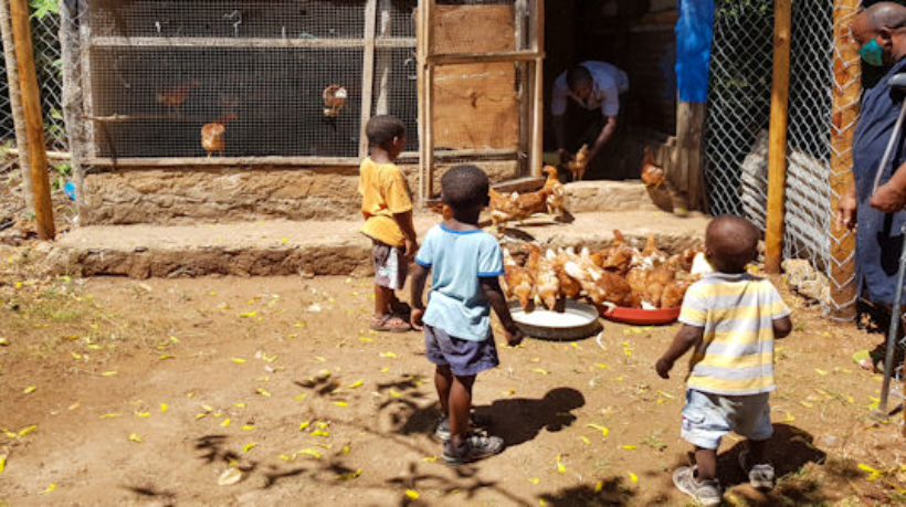 doneer-kippenvoer-aan-diani-childrens-village-kenia