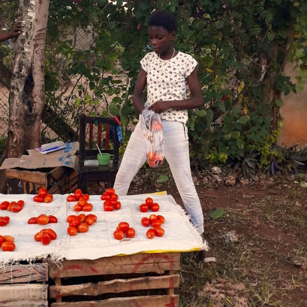 kinderen-diani-childrens-village-verkopen-eigen-geteelde-tomaten