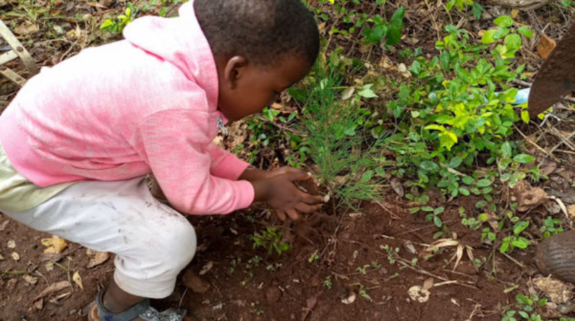 kinderen-gaan-bomen-planten-kenia