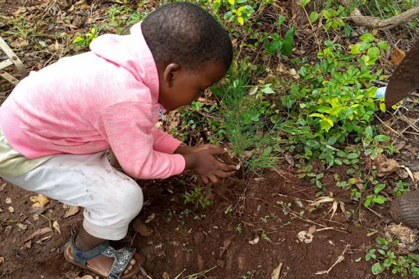 kinderen-gaan-bomen-planten-kenia